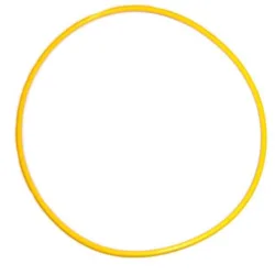 Hub O Ring Seal F81Z 4A322 AA